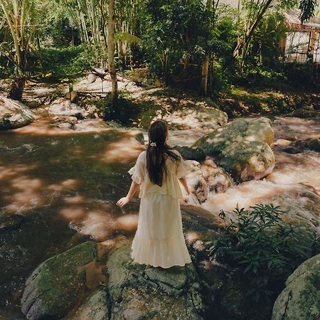 เดอะริเวอร์ แม่กำปอง The River Maekampong Chiang Mai Ban Pok Nai Εξωτερικό φωτογραφία