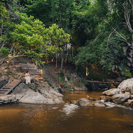 เดอะริเวอร์ แม่กำปอง The River Maekampong Chiang Mai Ban Pok Nai Εξωτερικό φωτογραφία